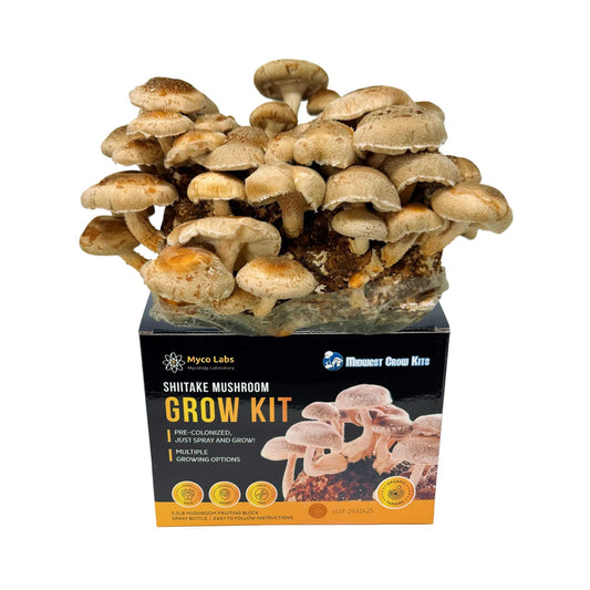 Shiitake Mushroom Grow Kit (5lbs) - Image 1