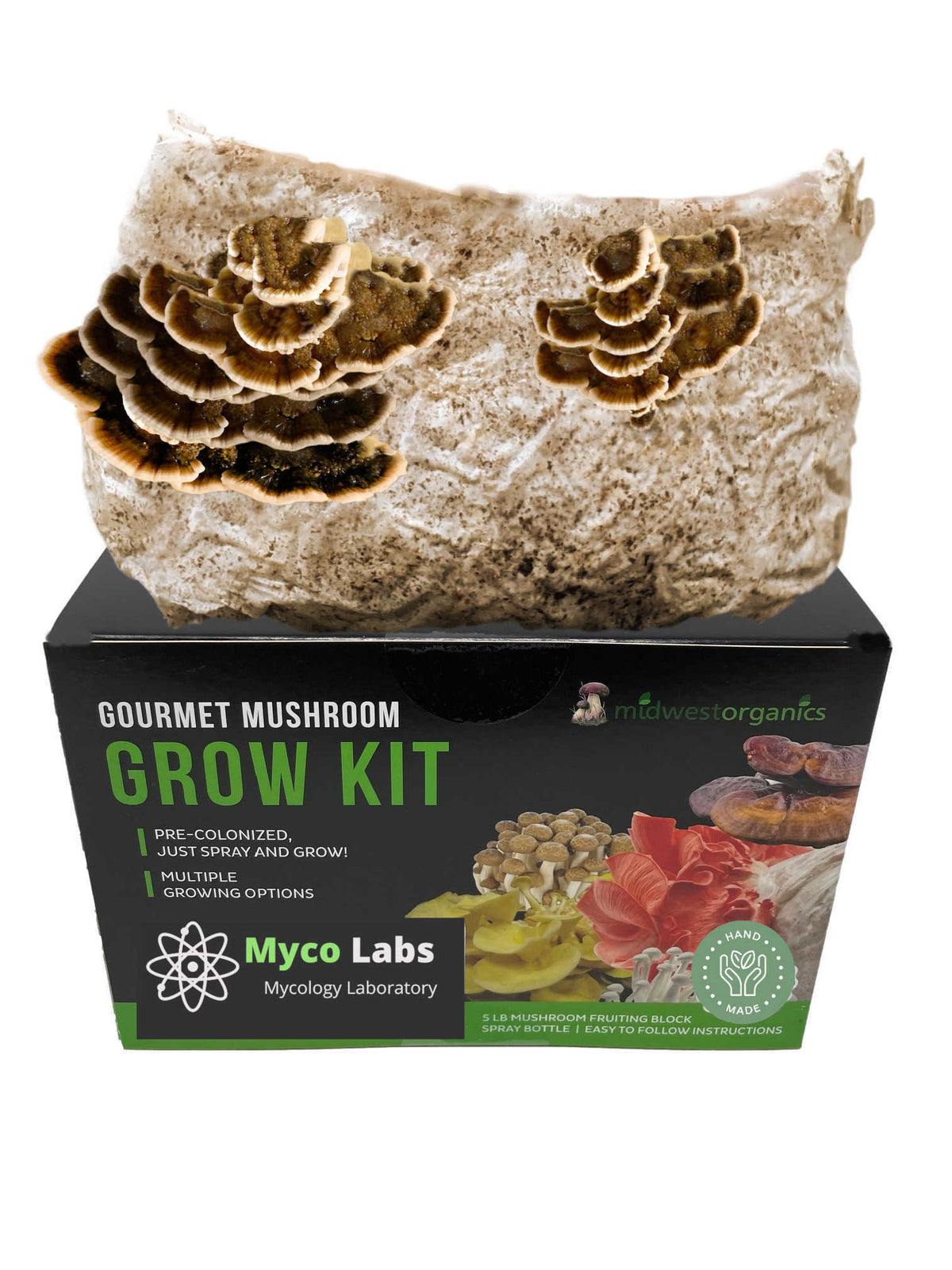 Turkey Tail Mushroom Grow Kit (5lbs) - Image 1