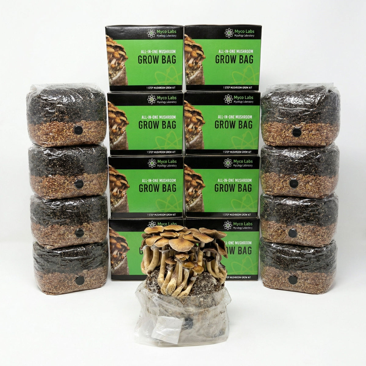Wholesale All-in-One Mushroom Grow Bag (4 lbs) for Manure Loving Mushrooms (Case of 10) - Image 1