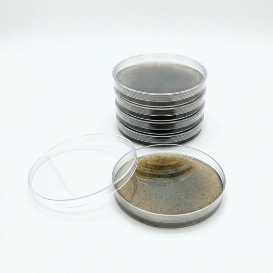 Pre-Poured Willy’s Blend Manure Enriched Agar Plates - Conditioning Agar Plates (5-Pack) - Image 1