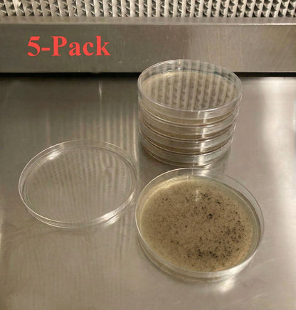 Pre-Poured Willy’s Blend Manure Enriched Agar Plates - Conditioning Agar Plates (5-Pack) - Image 2