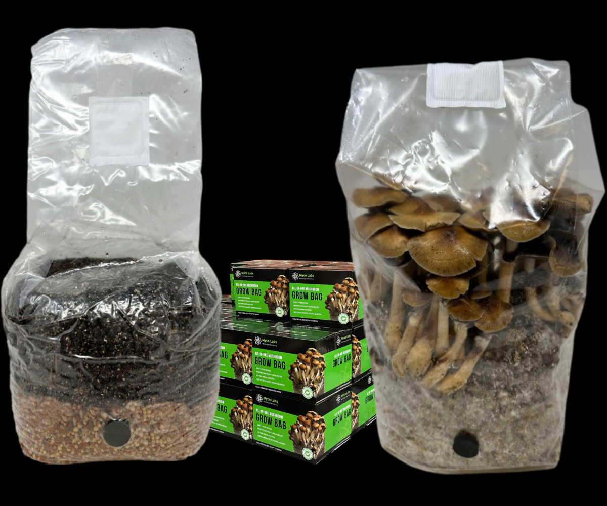 Wholesale All-in-One Mushroom Grow Bag (4 lbs) for Manure Loving Mushrooms (Case of 10) - Image 7
