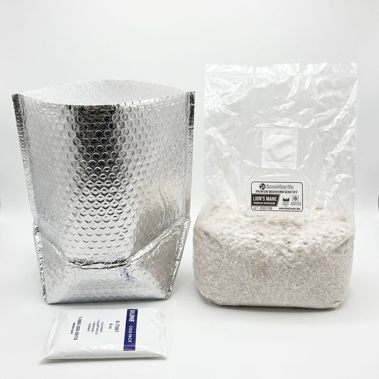 Lion's Mane Colonized Grain Spawn Bag 5 LB - Image 2