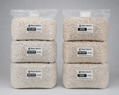 Pioppino Colonized Grain Spawn Bag 5 LB - Image 4