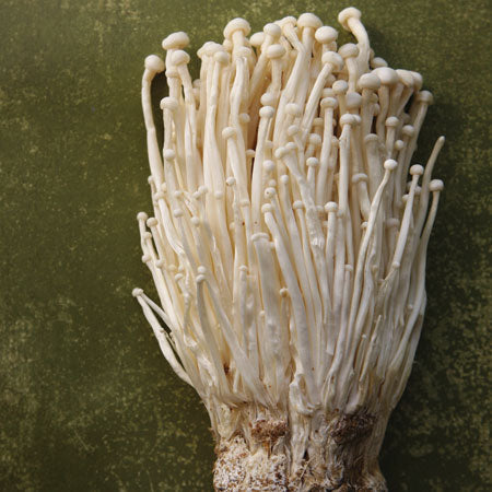 Complete XL ALL-IN-ONE Wood Lover's Mushroom Grow Bag Kit (6LB) - Image 8