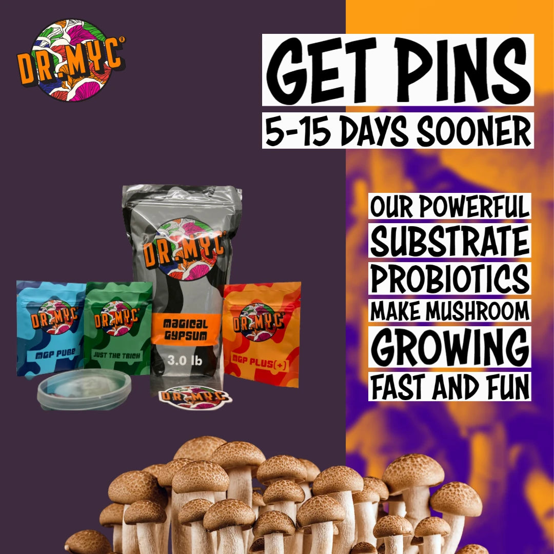 MGP Pure - Maximum Gourmet/Medicinal Mushroom Growth Promotion - View 3