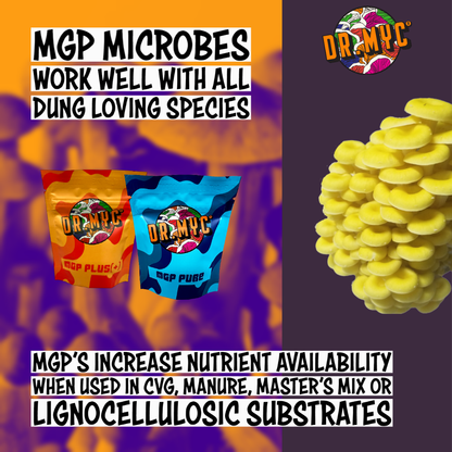 MGP Pure - Maximum Gourmet/Medicinal Mushroom Growth Promotion - View 4