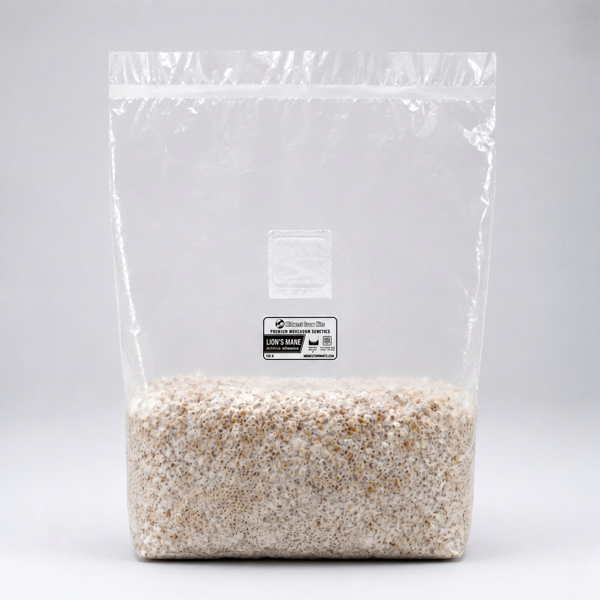 Lion's Mane Colonized Grain Spawn Bag 5 LB - Image 5
