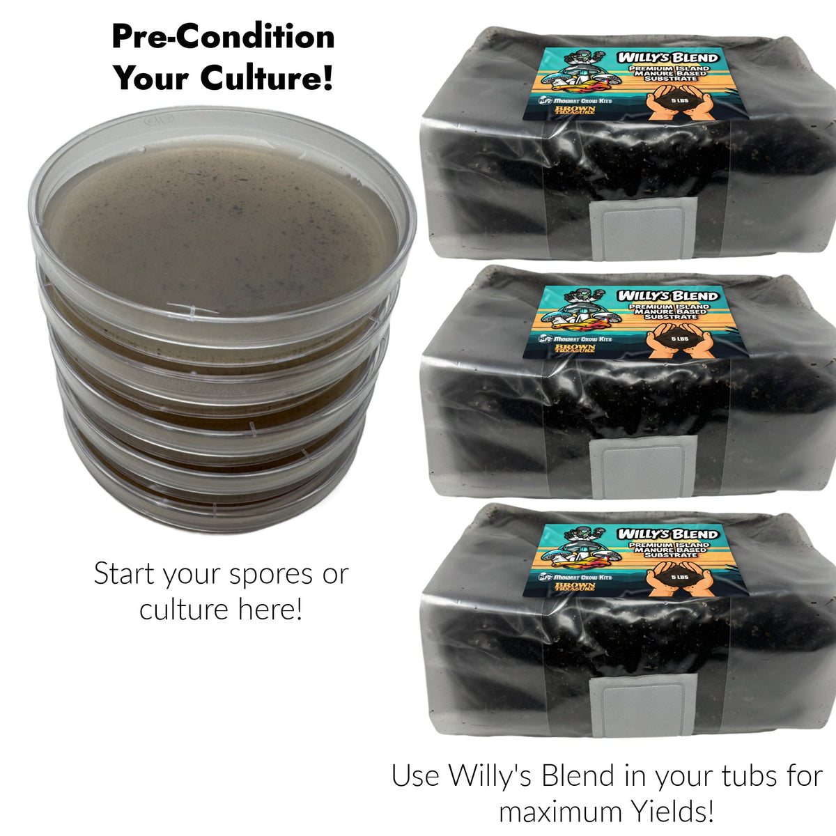 Pre-Poured Willy’s Blend Manure Enriched Agar Plates - Conditioning Agar Plates (5-Pack) - Image 4
