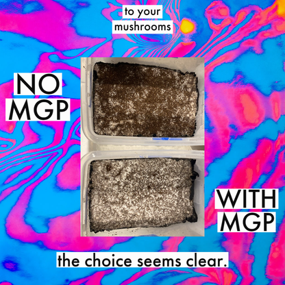 MGP Pure - Maximum Gourmet/Medicinal Mushroom Growth Promotion - View 10