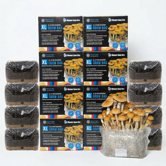 Wholesale All-in-One Mushroom XL Grow Bags (6 lbs) for Manure Loving Mushrooms (Case of 8) - Image 1